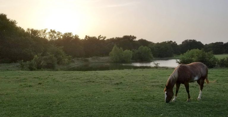 All On Your Shoulders