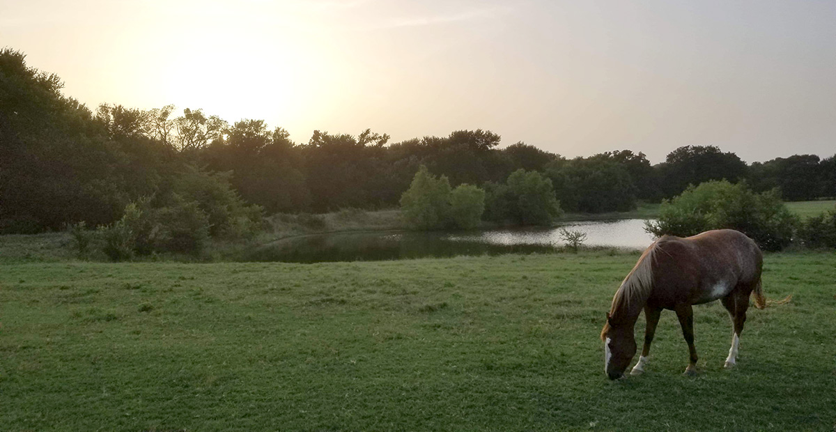 All On Your Shoulders