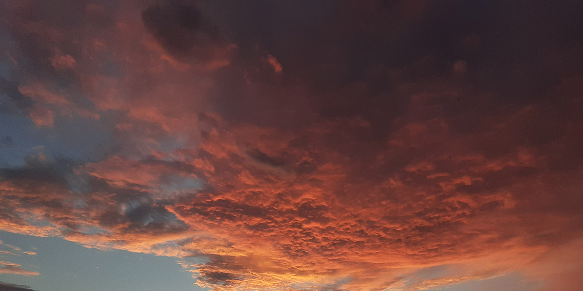 First week in Alliance